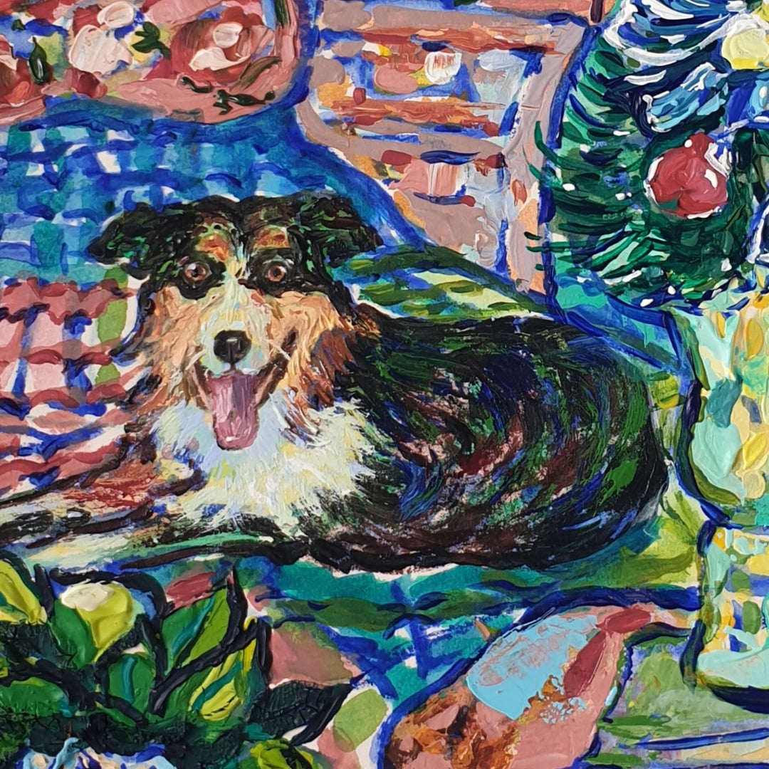 Mini australian sheperd in a festive bedroom